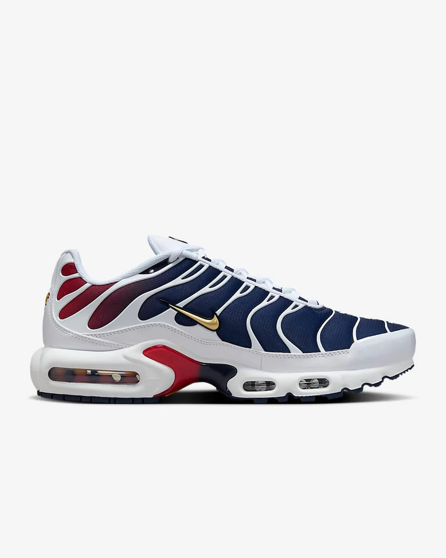 Nike Air Max TN PSG